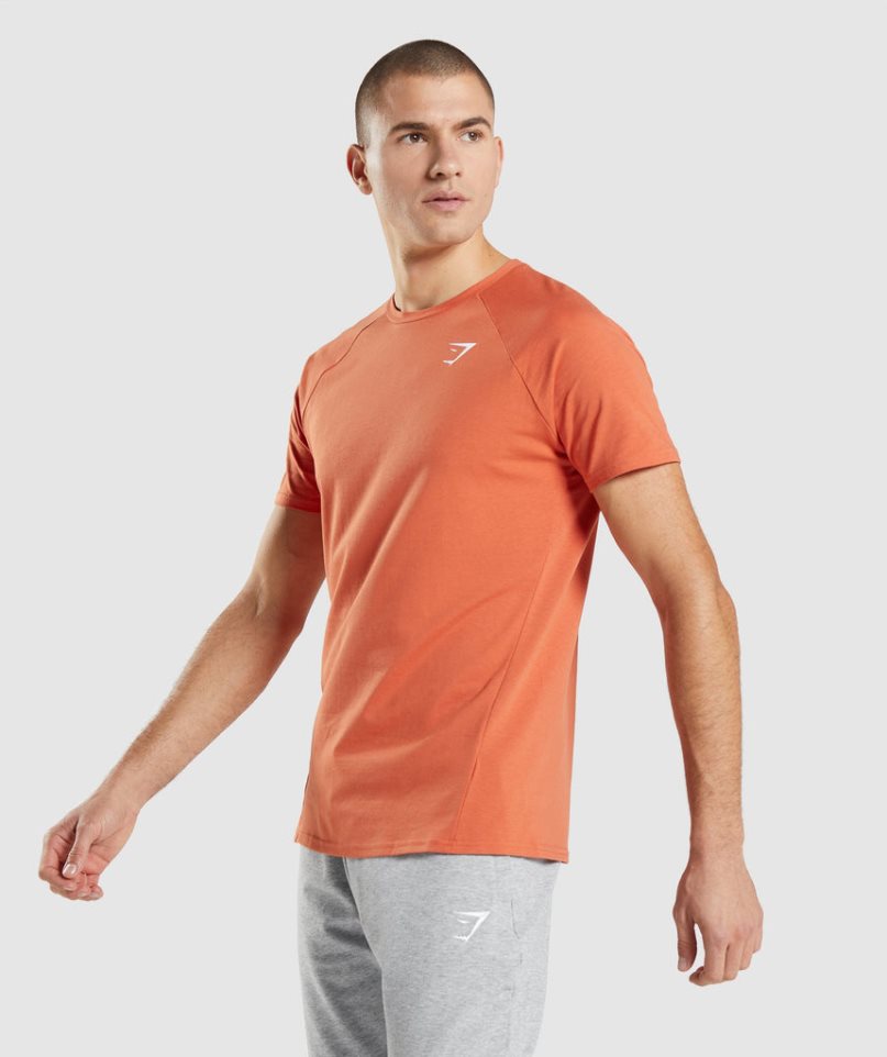 Men's Gymshark Critical T-Shirts Orange | NZ 9XOEIN